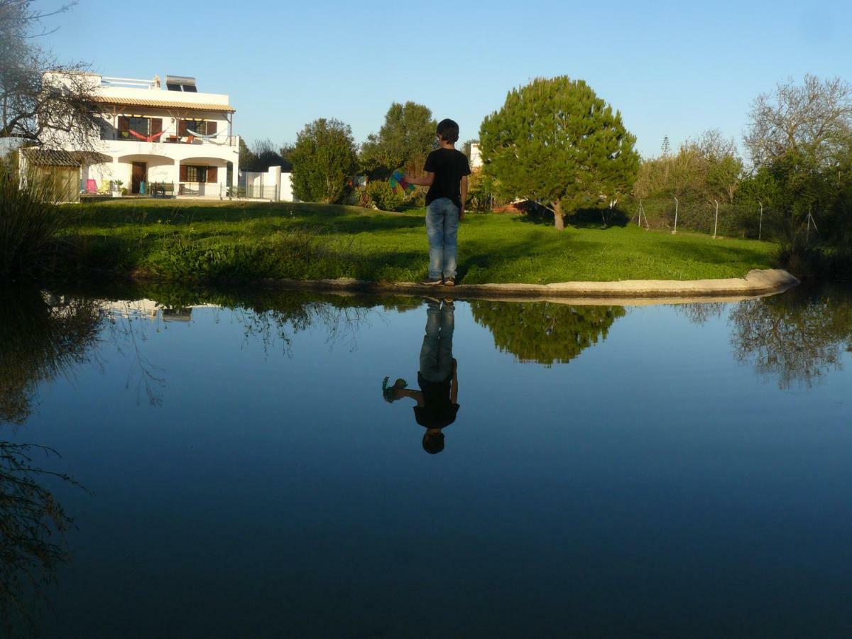 Quinta Toca Do Mocho Villa Quelfes Eksteriør billede