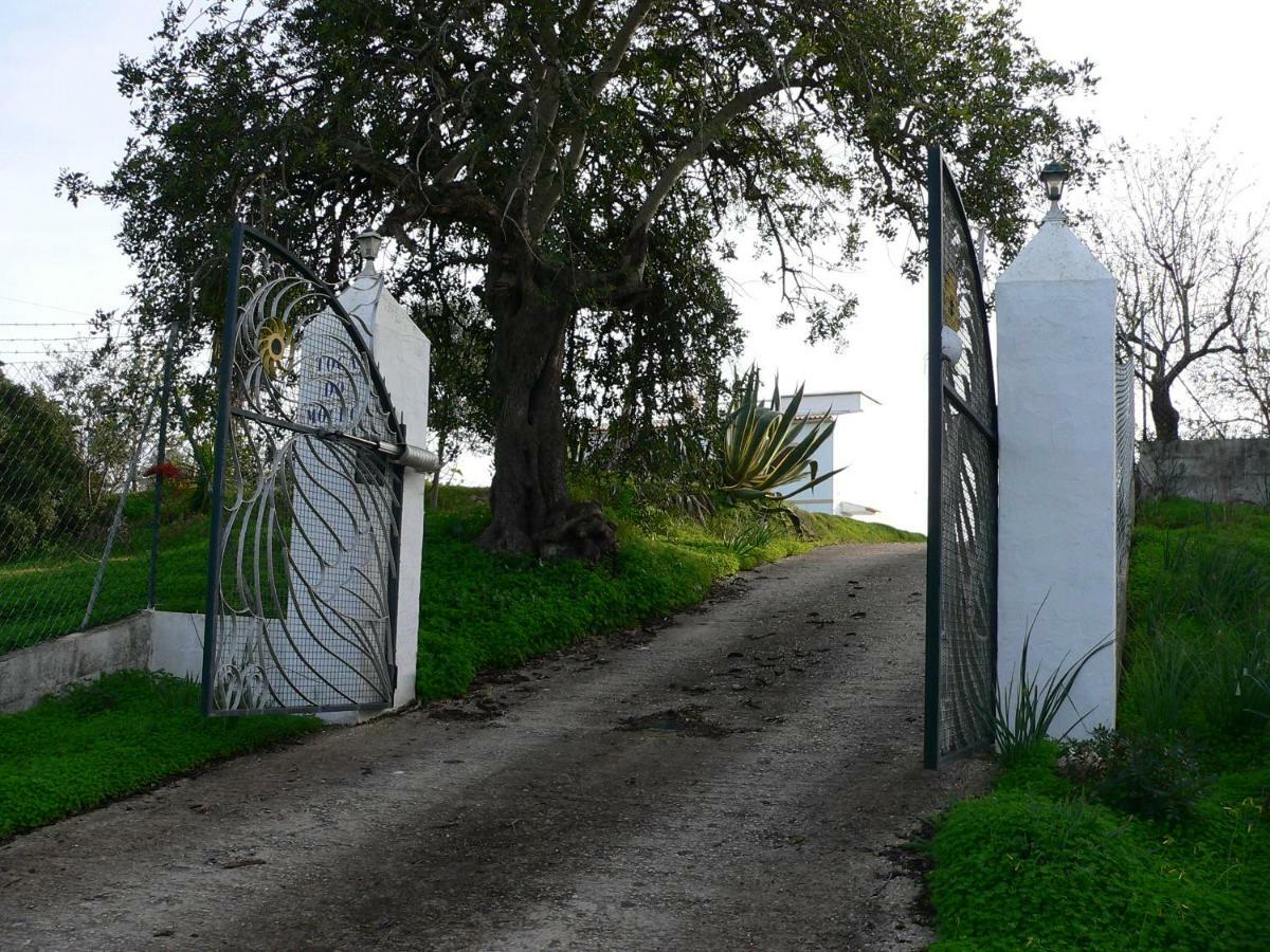 Quinta Toca Do Mocho Villa Quelfes Eksteriør billede